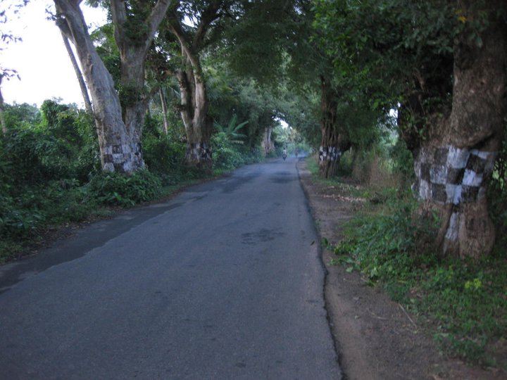 75708_1722623391341_871949_n