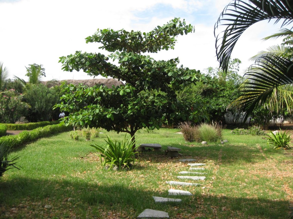 Our visit to Tharangampadi – Land of singing waves