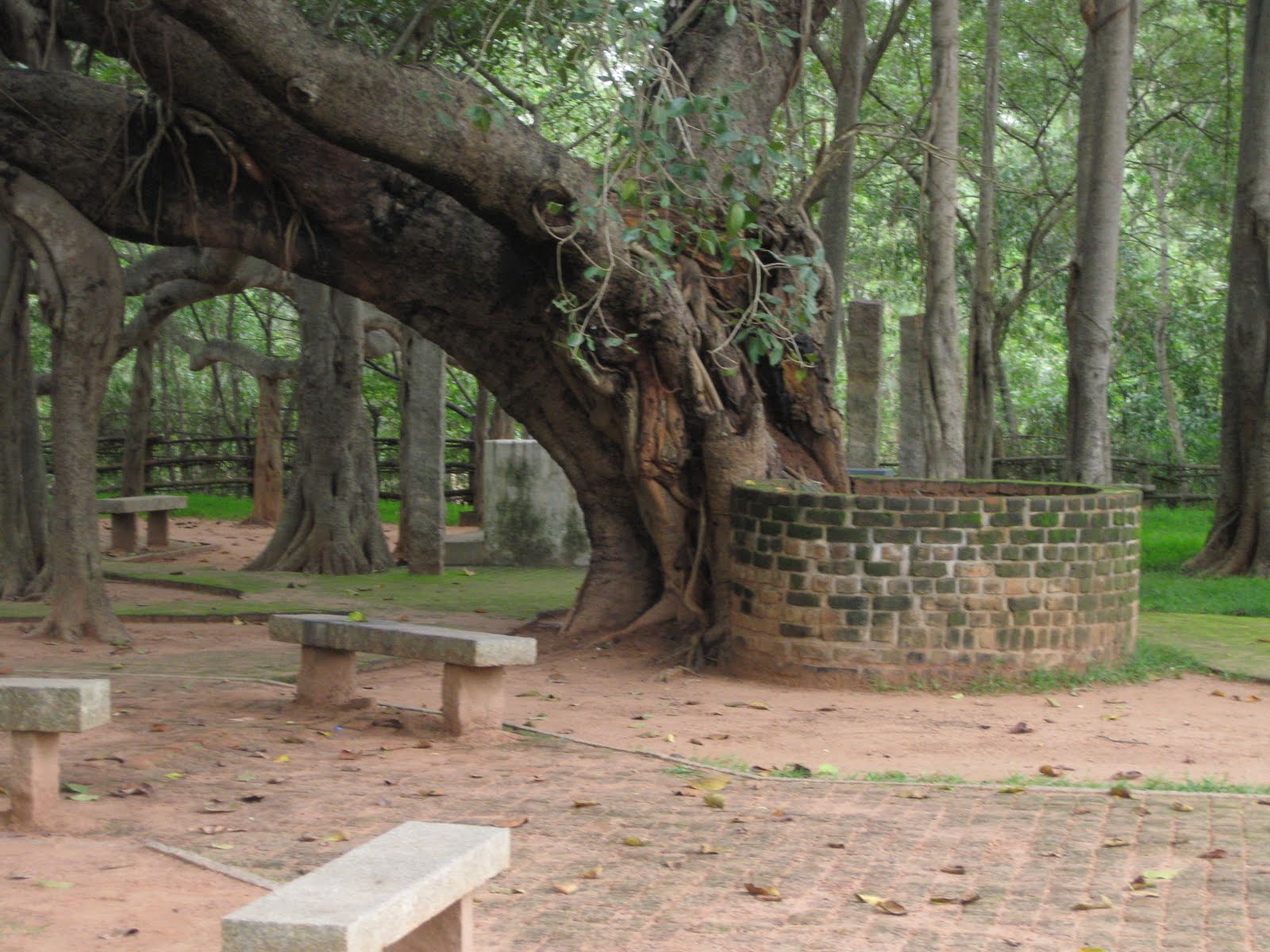 Our Visit to Auroville