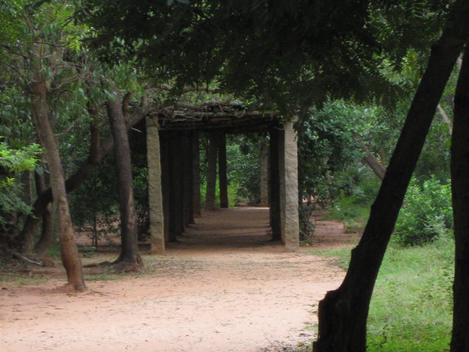 Our Visit to Auroville