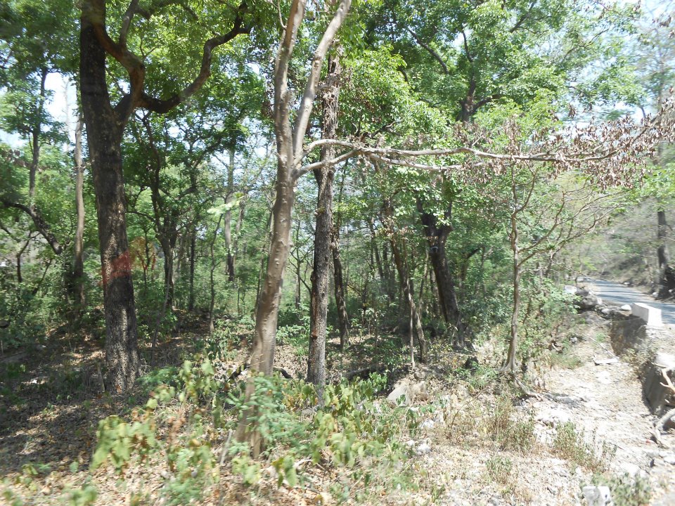 11781_4068843885387_1745575563_n