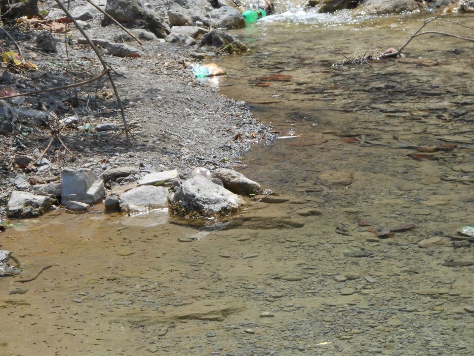 389268_4068869926038_1799289742_n