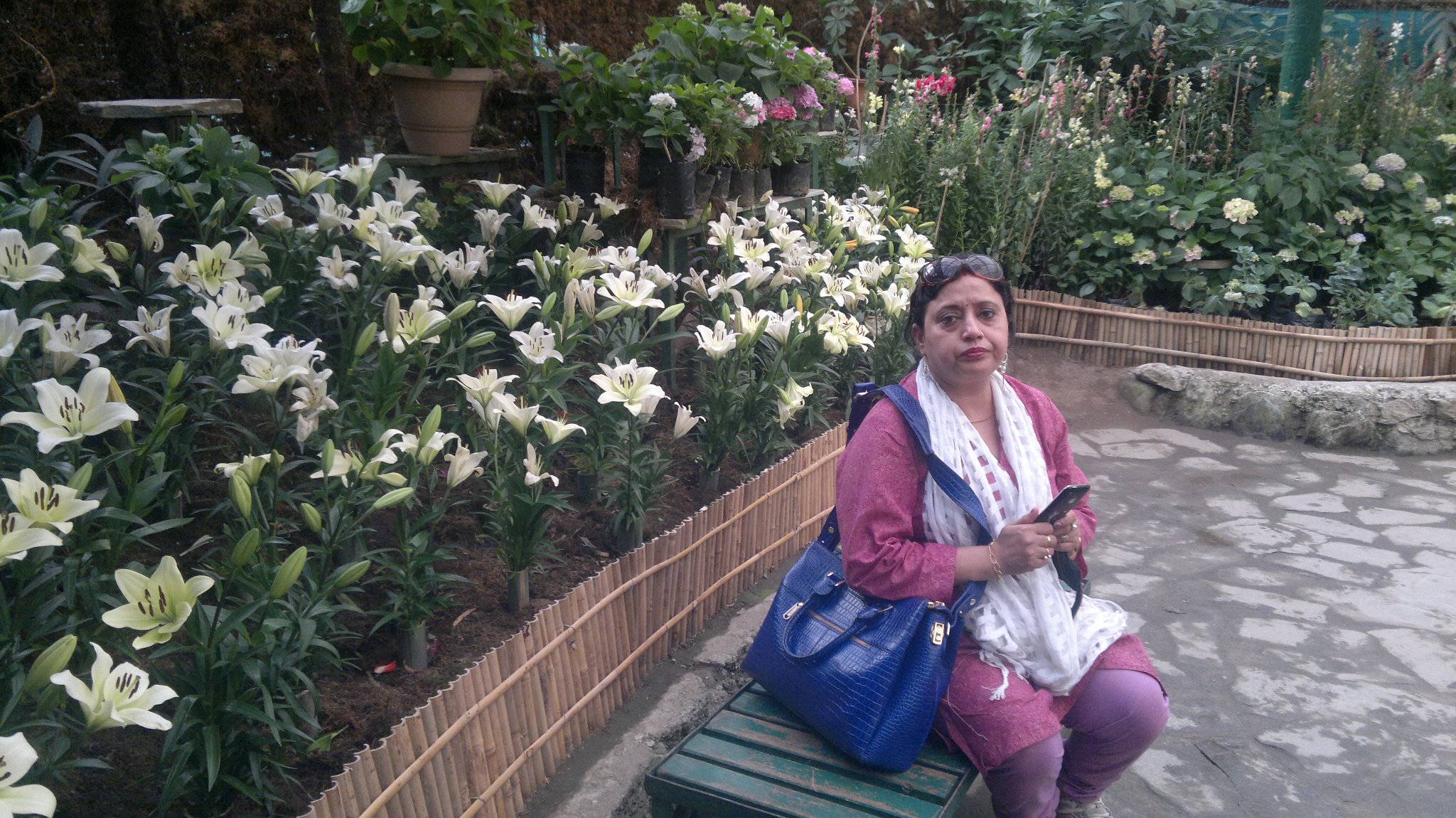 459816_4156196107630_710208531_o