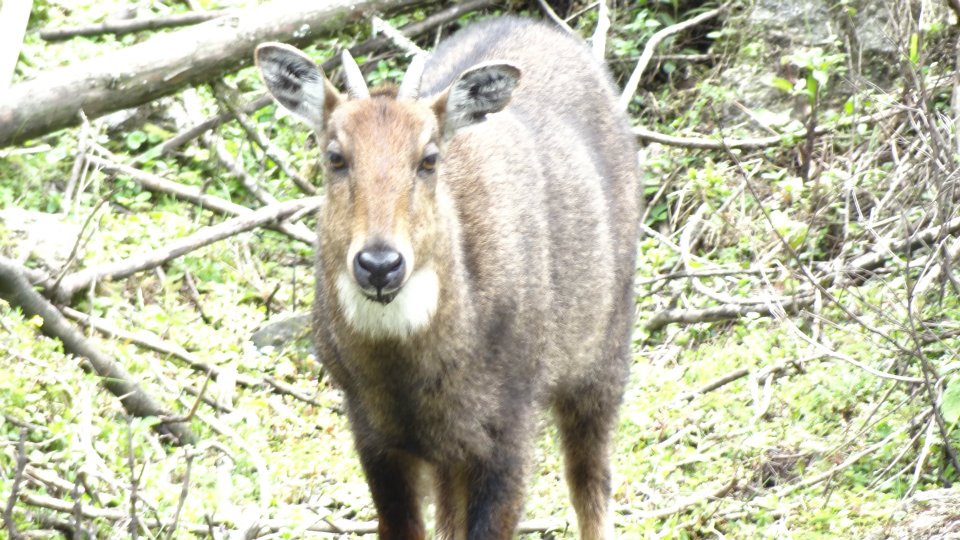 535724_4070093516627_1937340275_n