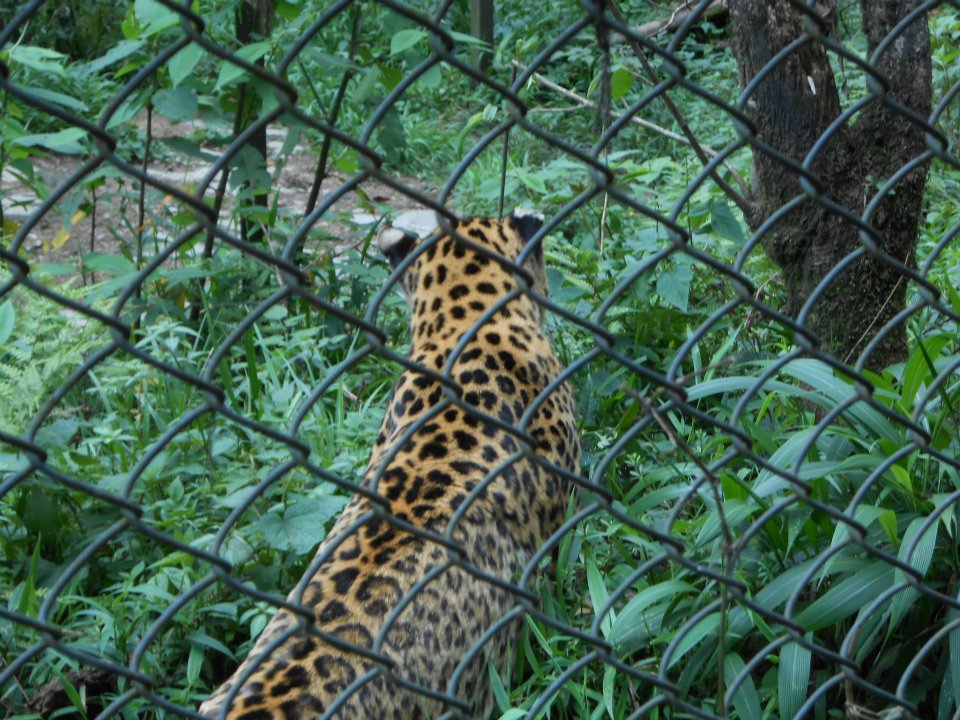 543518_4070122397349_1140183582_n