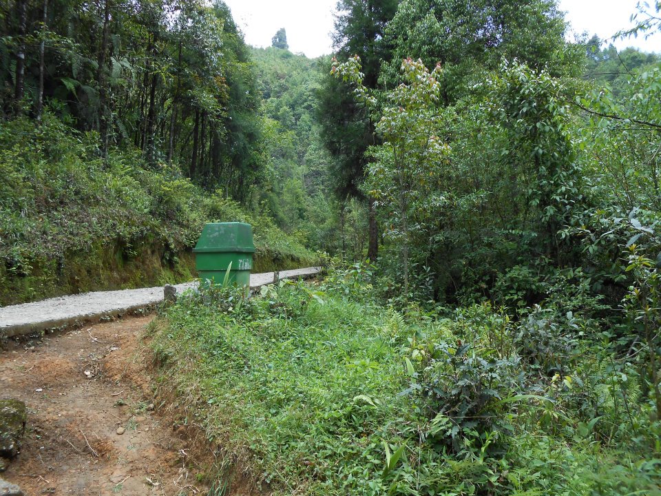 543568_4070117317222_823885649_n