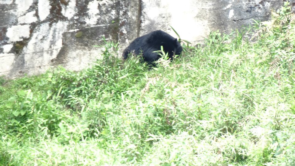 551653_4080439095260_192615939_n