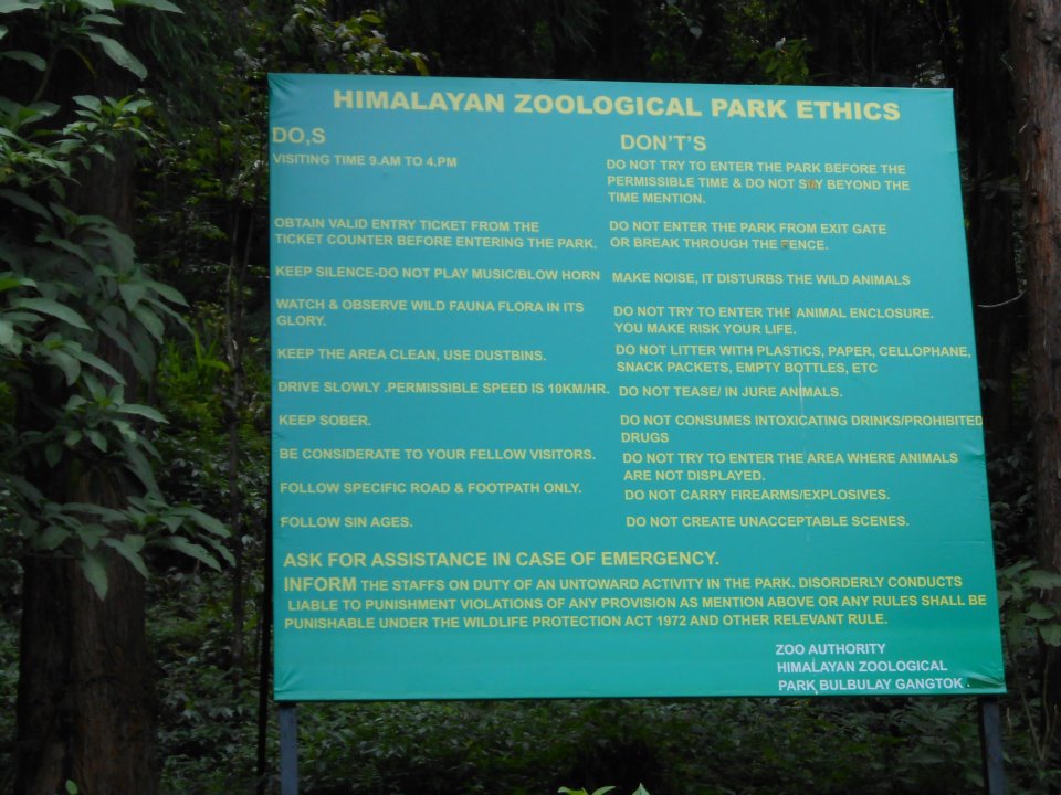 553490_4070107516977_869180966_n