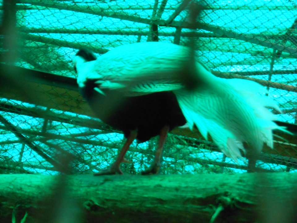 576851_4070110357048_630782885_n