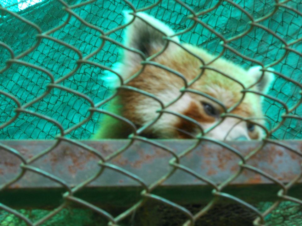 579593_4070112397099_487234455_n