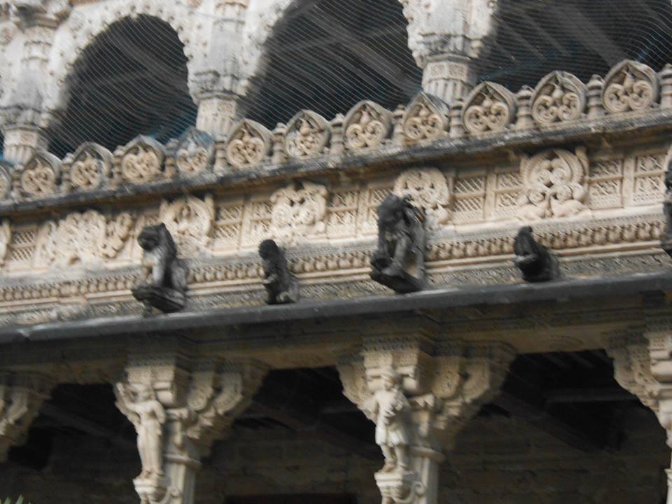 1380552_10202347728400503_1324250760_n