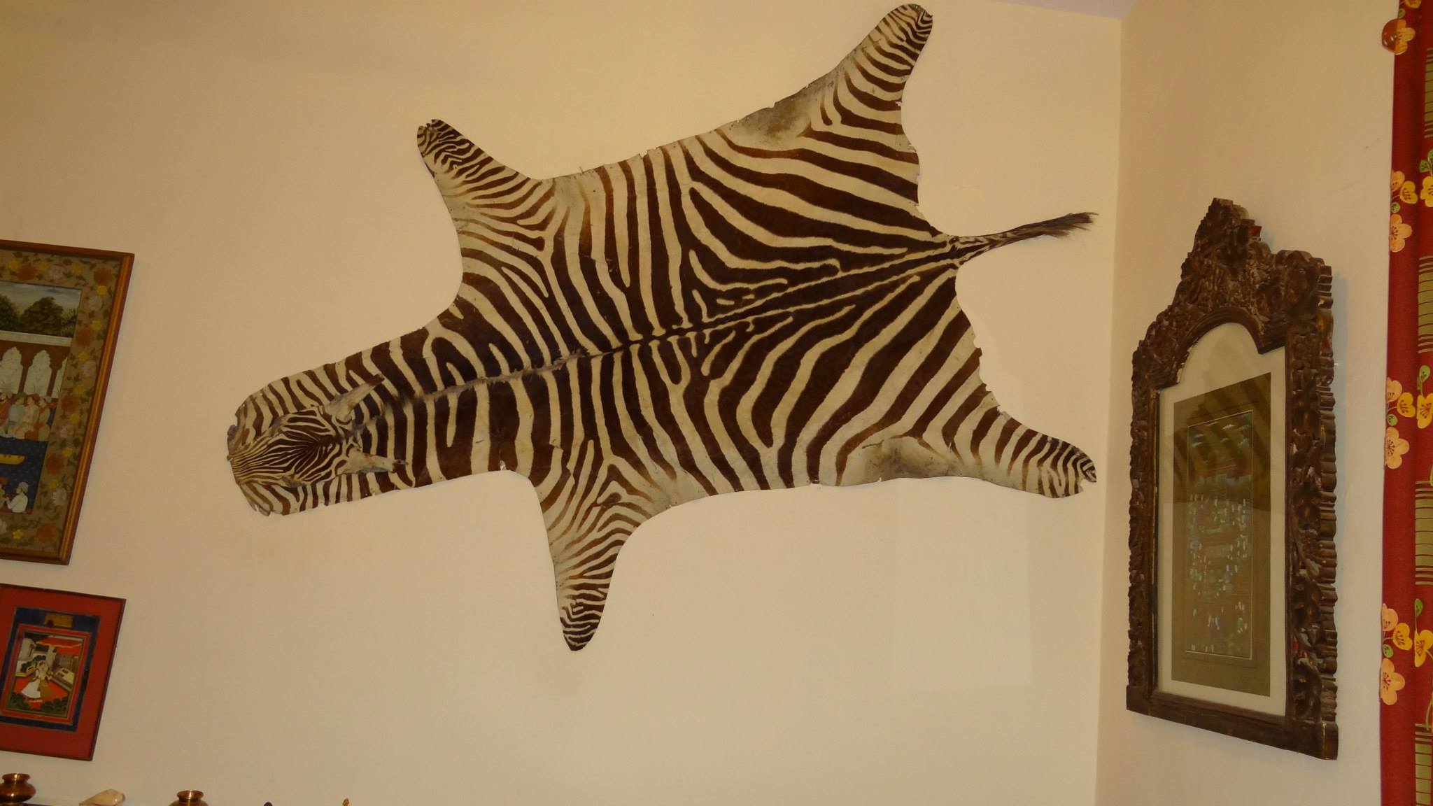 1397068_10202347672719111_1408435774_o