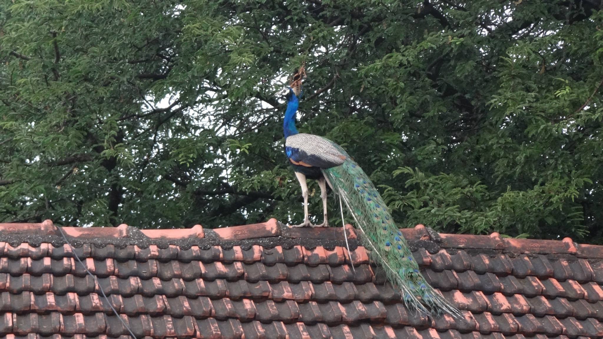 1397842_10202347632878115_2094673826_o