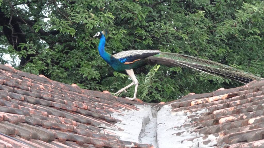 1410721_10202347634678160_1158760995_o