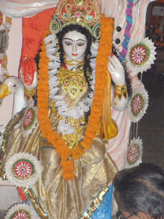 37522_1547208526079_8010018_n