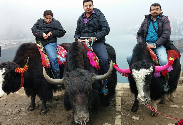 13896777811_4a03d0ac8e_z