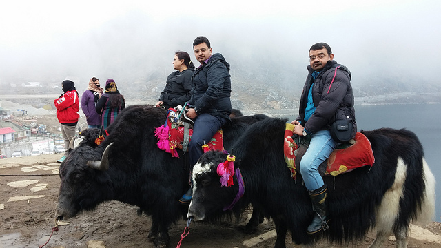 13896783131_9e9049c285_z