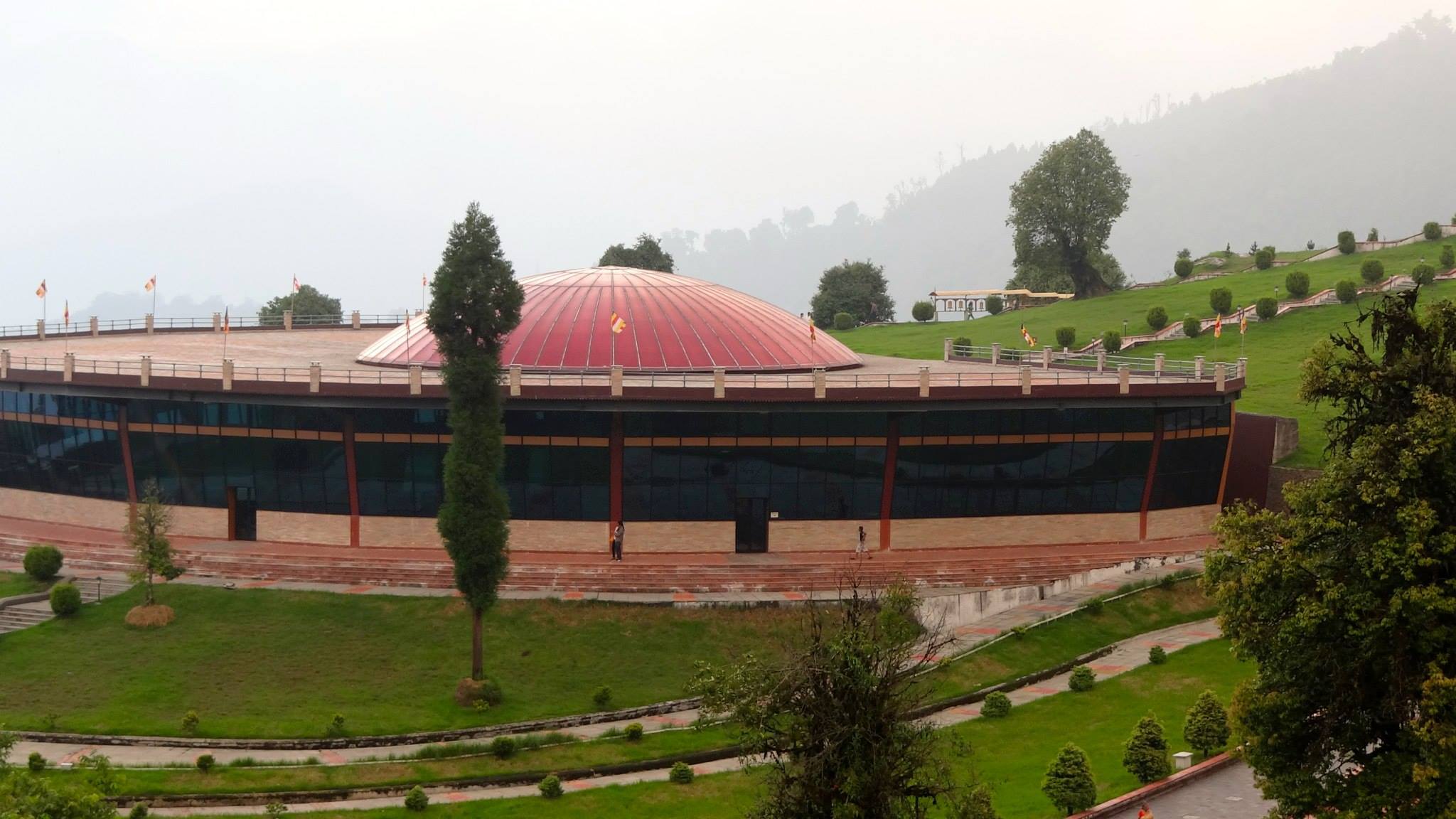 10457691_10204198681673178_5823495077654786085_o