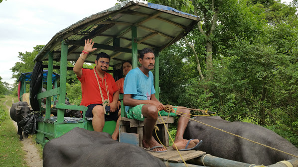 Jaya & Babai on the buffalo-cart
