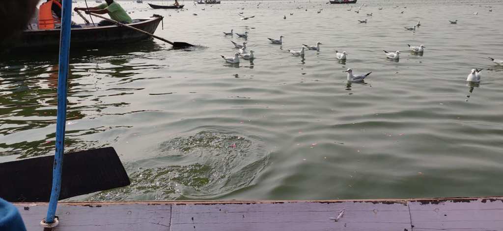 75354980_111224793669396_9132980610409693184_o