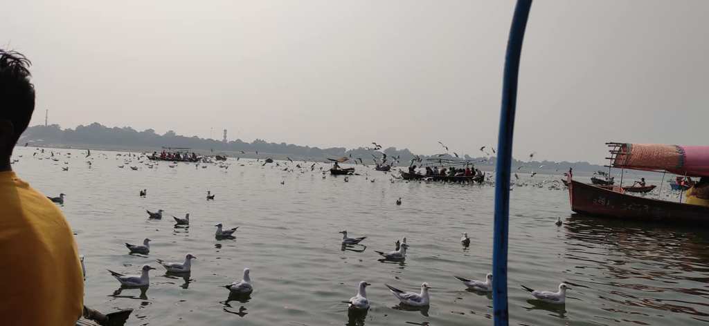 77254182_111220670336475_4538850661646729216_o