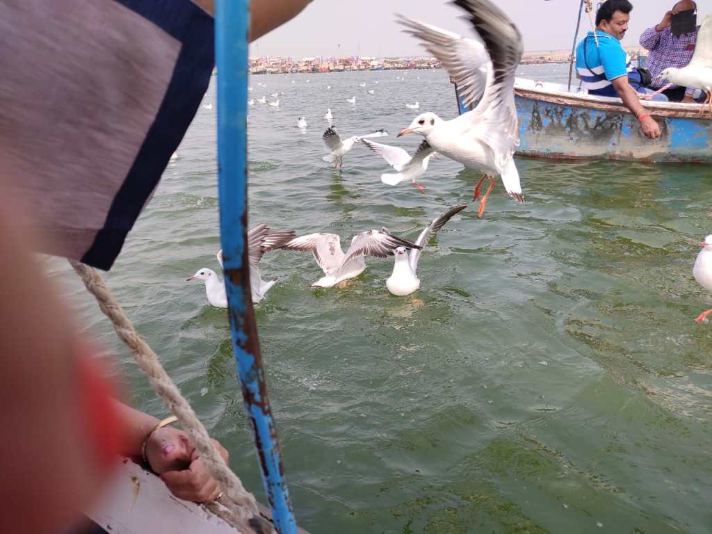 WhatsApp Image 2019-11-16 at 09.31.04