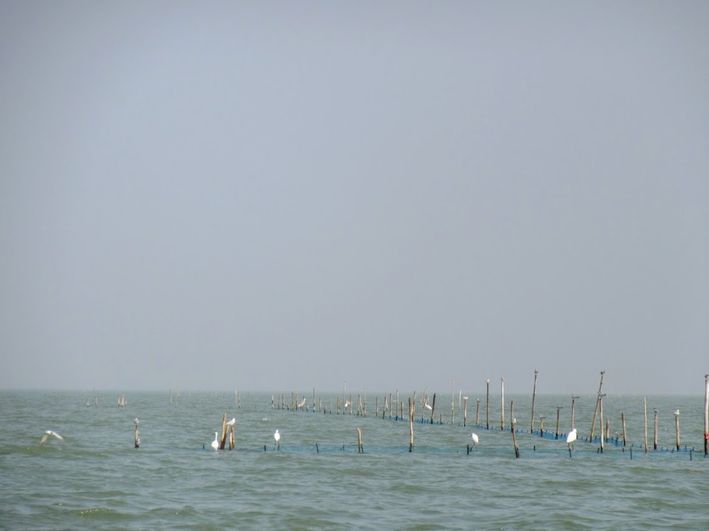 Gopalpur-27003472_Unknown