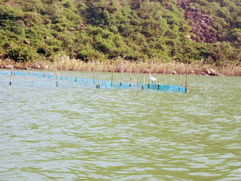 Gopalpur-27003584_Unknown