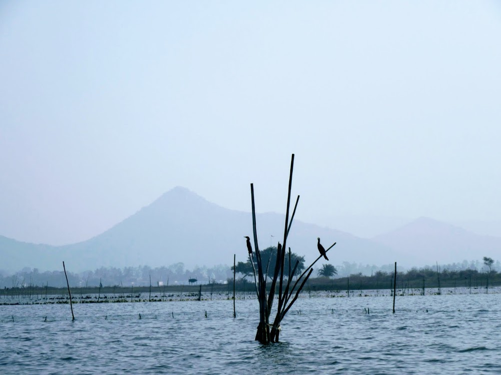 Gopalpur-27003664_Unknown