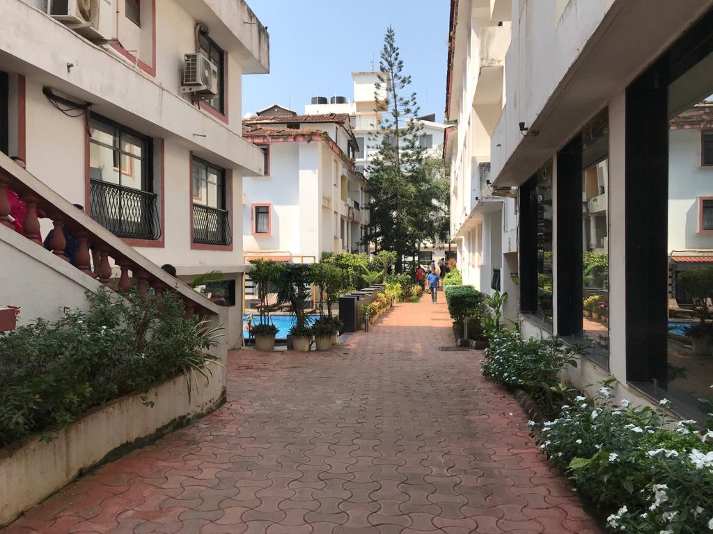 Goa-WhatsApp Image 2019-04-06 at 08.18.16