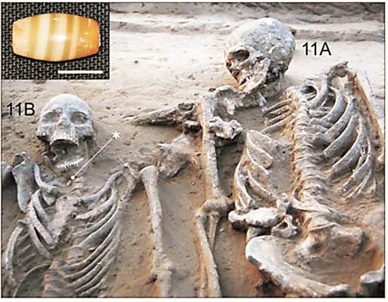 harappan couple in a grave