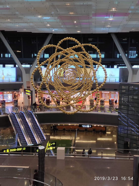 Cosmos at Doha Airport