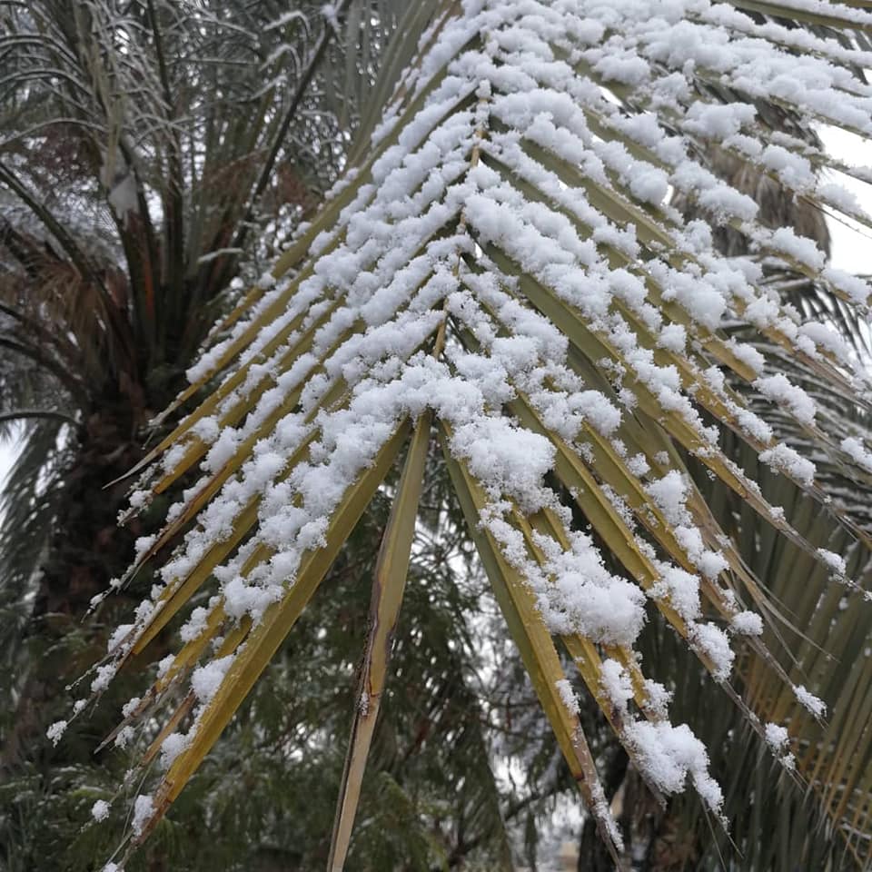 85200048_1267650546774323_3494242150571311104_n